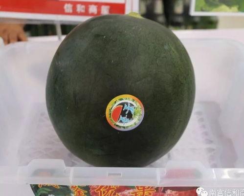 南宫市吃瓜,瓜香四溢，品味生活新风尚