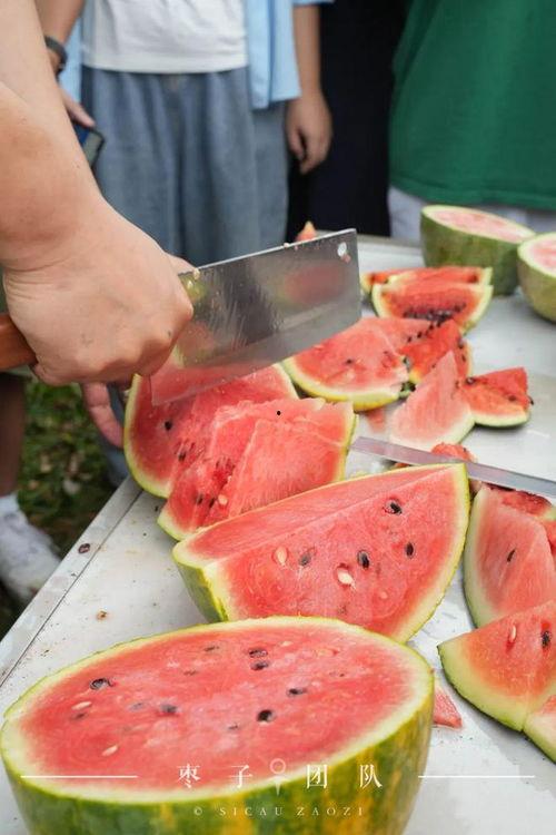 种个瓜自己吃,从种瓜到收获的田园生活实践