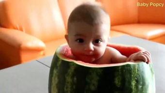 西瓜文案吃瓜baby