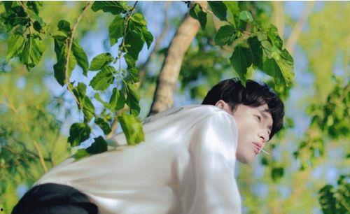 张艺兴吃瓜乔治,揭秘乔治背后的故事