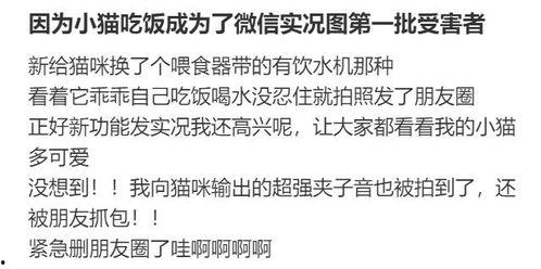 吃瓜记录者,记录者视角下的娱乐圈风云