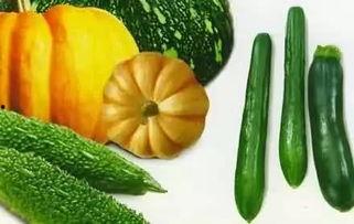 吃瓜网站的瓜都是什么,热门瓜料的幕后生成揭秘