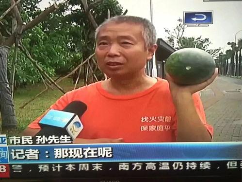 吃瓜事件本周热门,盘点娱乐圈最新热点事件