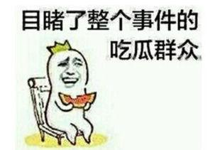 吃瓜吃到心痛,揭秘娱乐圈背后的真相与代价