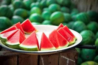 吃瓜自驾游,畅游美景，品味人生百态