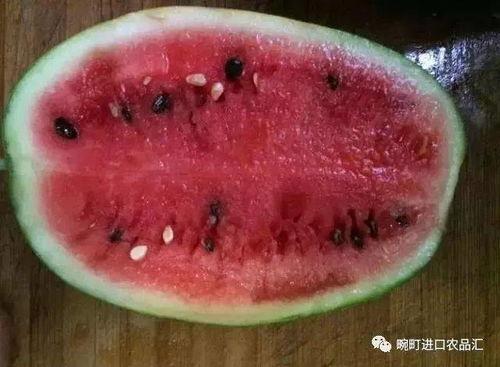 水瓤瓜可以吃吗,揭秘其可食用之谜