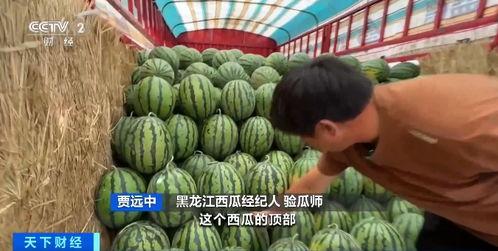 把瓜卖吃瓜群多少钱,把瓜卖吃瓜群背后的惊人价格