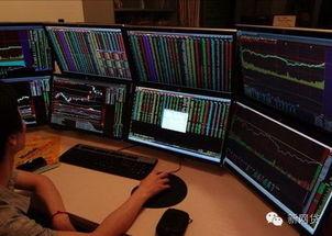 炒股吃瓜,揭秘股市背后的趣味故事与投资智慧