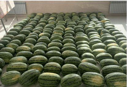 大型吃瓜新闻,揭秘大型吃瓜新闻背后的真相与幕后故事