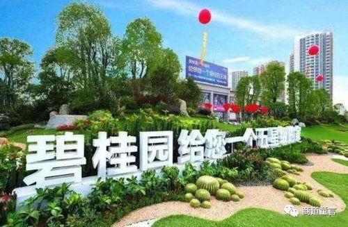 吃瓜广东碧桂园,揭秘其背后的故事与魅力