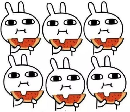 吃瓜游戏 呆瓜傻瓜,呆瓜与傻瓜的趣味对决