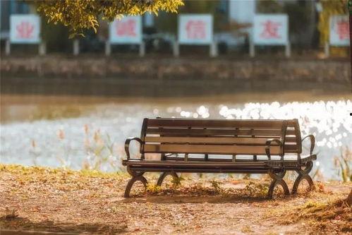 南通大学长椅吃瓜原视频,一场校园内的“瓜田”奇观