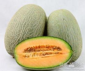 哈密瓜叶可以吃吗,可食用之谜揭秘