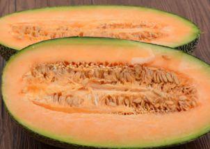 哈密瓜弟弟吃哈密瓜,一场与哈密瓜的邂逅