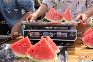 吃瓜恶心呕吐,揭秘背后的健康隐患