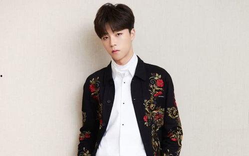 陈立农吃瓜手势,揭秘明星们的独特魅力